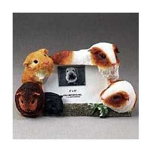  Guinea Pig Picture Frame