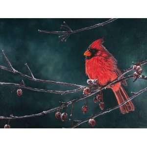 Cardinal Print Snow Bird 