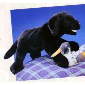  Black Labrador Puppy