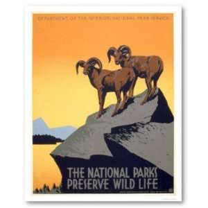  Preserve Wild Life 1939 WPA Print