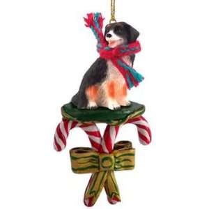 Candy Cane Bernese Mountain Dog Christmas Ornament