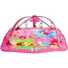 Infantino Baby Girl Animals Twist and Fold Activity Gym and Playmat