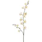 Allstate Floral Faux 30 Mini Phalaenopsis Orchid Spray Cream Yellow 