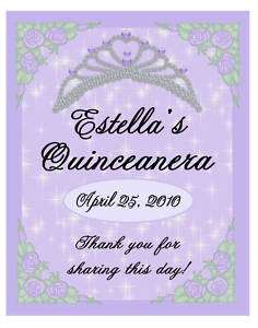 15 QUINCEANERA PARTY MAGNETS FAVORS  
