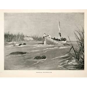 1900 Print Africa Boat People Man Woman Hippo Hippopotamus Water Grass 