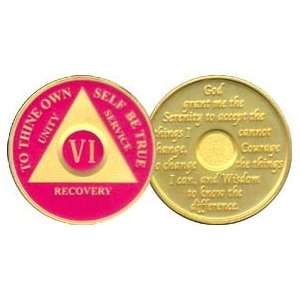  6 Year 24K Gold Plated AA Birthday   Anniversary Recovery 