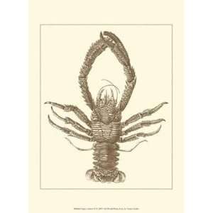  Sepia Lobster II   Poster (9.5x13)