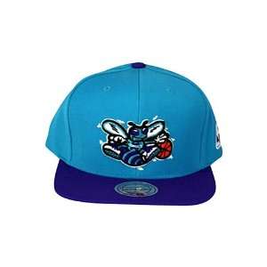  Charlotte Hornets Mitchell & Ness Teal Throwback Vintage 