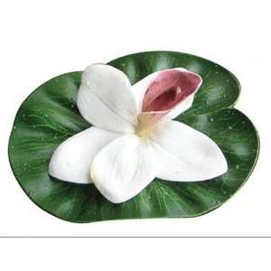 Geoglobal Partners 032041 Floating Lilly Pad Variety   3 