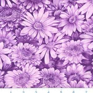  45 Wide Bright & Beautiful Mixed Daisies Purple Fabric 