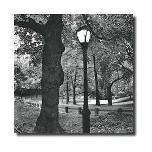  A Light In Central Park Giclee Print