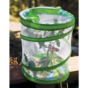  Insect Lore Butterfly Cage and Feedig Tool with No 