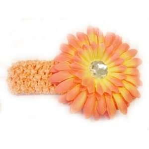 Peach 1.5 Stretch Soft Crochet Headband With 4 Large Gerbera Daisy 