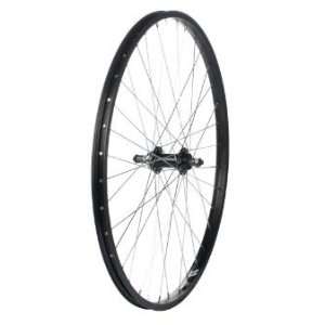 Alex X101 Rear Wheel MTB   26 x 1.75, (Black Rim)  Sports 
