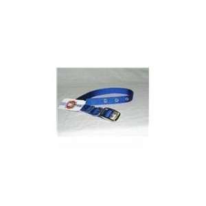  Single Thick Nylon Dog Collar Blue 16 In