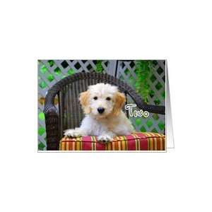    Happy Birthday to Two  Golden Doodle Puppy Card Toys & Games