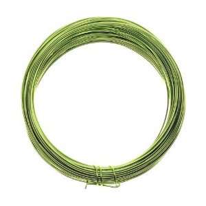  22 Gauge PARROT GREEN Silver Plate Craft Wire, Darice 3959 