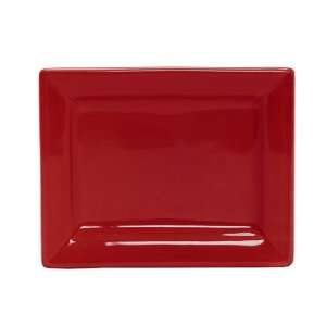 Colorcode Rectangle Appetizer Plate   Rhubarb  Kitchen 