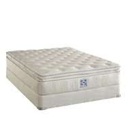 Sealy Twin XL Mattress McIntyre Select II Euro Pillowtop Plush at 