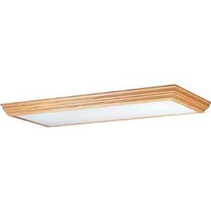 Energy Star 50 x 18 Natural Oak Trim and Chassis Set