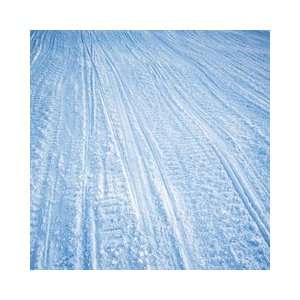   SugarTree   12 x 12 Paper   Snowmobile Tracks Arts, Crafts & Sewing