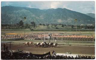 Post card Horse Racing Santa Anita Racetrack Arcadia CA  