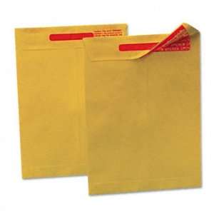  Reveal N Seal Catalog Envelope, 10 X 13, Light Brown, 100 