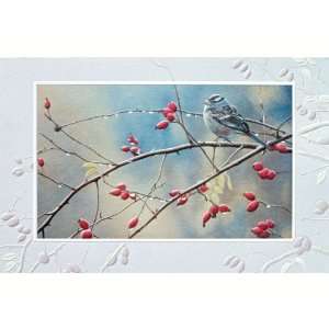   Among the Thorns   Everyday Greeting Cards. Pack of 6 
