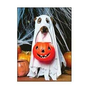  Dog in Ghost Outfit Halloween Card Toys & Games
