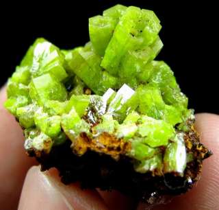 Green Pyromorphite Crystal Cluster Specimen DZ070  
