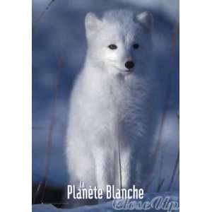  WHITE PLANET   Postcard