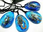 15pcs new cool natural scorpions terrible necklace wow