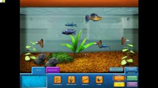 Fish Co.   Die Fischzucht Company  Games