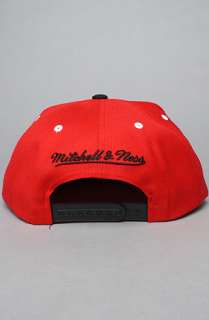 Mitchell & Ness The Atlanta Falcons Script 2Tone Snapback Cap in Red 