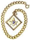 Antique, Vintage Masonic Pendant and Pocket Watch Chain 8 1/2