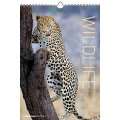  Wildlife 2012. Trends & Classics Kalender Weitere Artikel 
