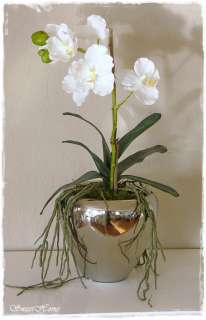 Vase Silber * EDEL * Gesteck Orchidee weiß * Jardiniere Silbervase 45 
