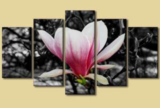 Magnolie Bilder Kunstdruck Leinwand Blumen Natur sw XXL 4260254417375 