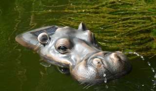 Dieser sehr detailgetreu gearbeitete Nilpferd Kopf schwimmt frei auf 