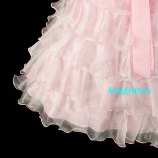 NEW Flower Girl Pageant Wedding Party Bridesmaid Dress Pink Wears Size 