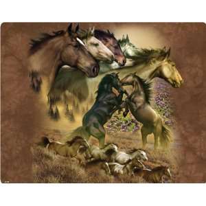  Wild Mustangs skin for Microsoft Xbox 360 (Includes HDD) Video Games