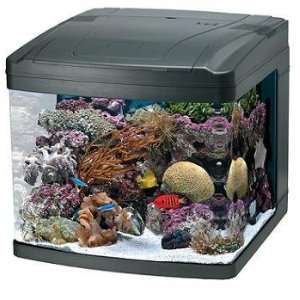  Oceanic 82052 BioCube Aquarium, 29 Gallon