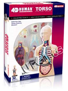 4D Puzzle Body Torso 32pcs Human Anatomy 3D Model NEW  