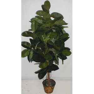  6 Artificial Rubber Plant