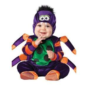   Bitsy Spider Costume Infant 18 24 Baby Halloween 2011 Toys & Games
