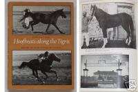 HOOFBEATS ALONG THE TIGRIS Forbis Arabian horse book  
