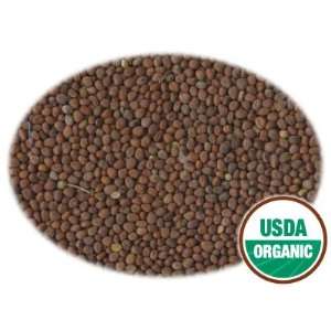  20 LBS Organic Radish Seeds