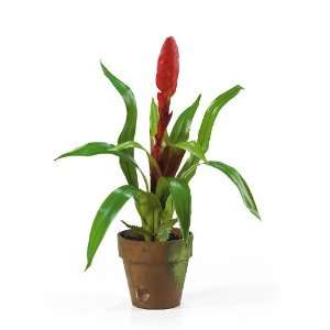 Potted Single Sword Bromeliad Silk Flower Arrangement  