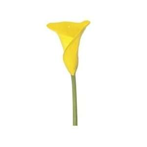    Conca Dor Yellow Mini Calla Lily   60 Stems Arts, Crafts & Sewing