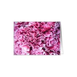 Pink Carnations Notecard Card